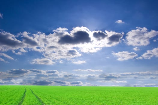 Green field and blue sky conceptual image. Picture of green field and sky in summer.