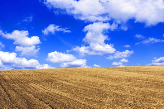 Plowed field. Viev on plowed field and blue sky.