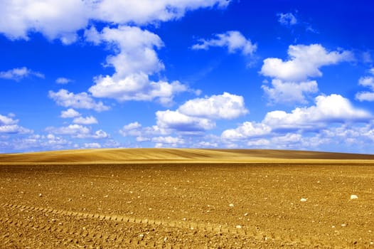 Plowed field conceptual image. Viev on plowed field and blue sky.