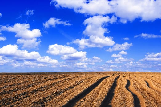 Plowed field. Viev on plowed field and blue sky.