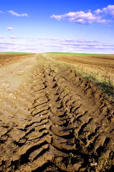 Ruts conceptual image. Ruts on a dirt road.