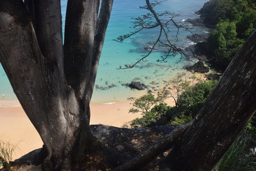 Crystalline sea beach in Fernando de Noronha, Brazil