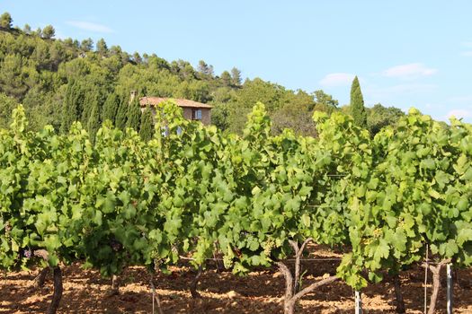 Vineyard landscape near Le Val. Le Val (Lo Vau in Occitan) is a commune in the Var department in the Provence-Alpes-Côte d'Azur region in southeastern of France