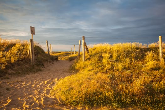 On a sandy beach in the department Morbihan in Brittany