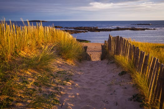 On a sandy beach in the department Morbihan in Brittany