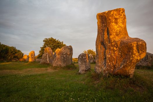 The stone rows of Kerzerho in Erdeven Morbihan in Brittany