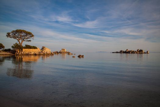 Trees and rocks at the beach of Palombaggia, the most famous beach of Corsica