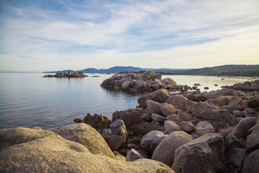 Trees and rocks at the beach of Palombaggia, the most famous beach of Corsica