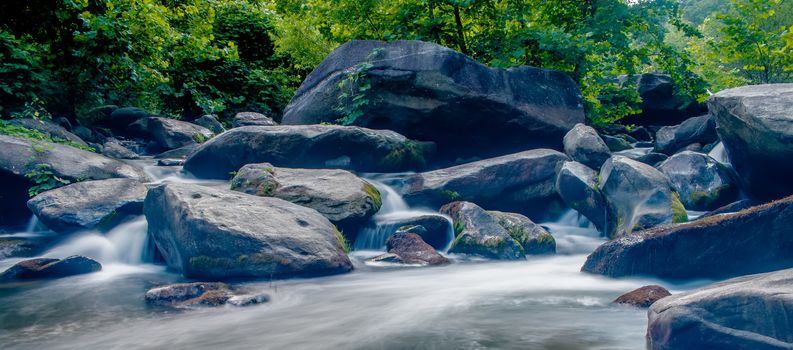 broad river flowing through wooded forest