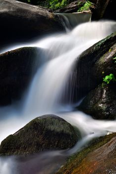 broad river flowing through wooded forest