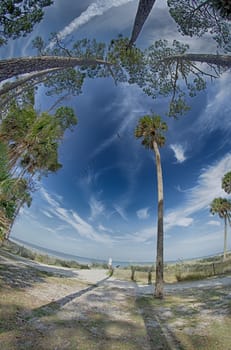 beach scenes at hunting island south  carolina