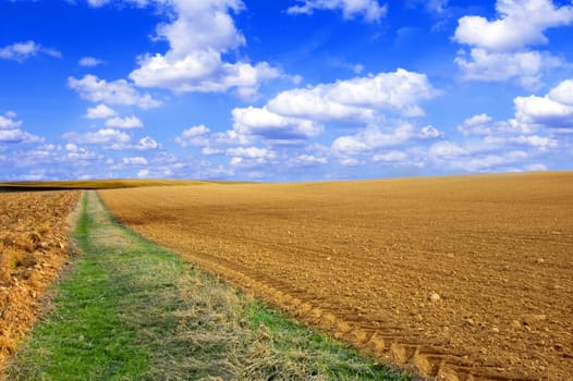 Plowed field conceptual image. Viev on plowed field and blue sky.