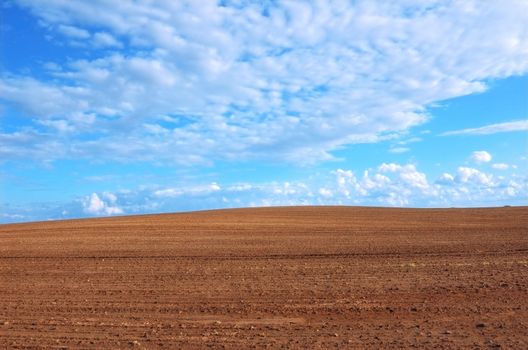 Plowed field. Viev on plowed field and blue sky.