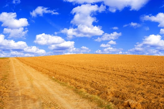 Plowed field conceptual image. View on plowed field and blue sky.