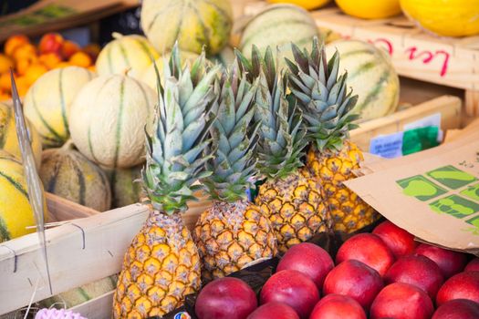 Fruits on a market in Provence, France