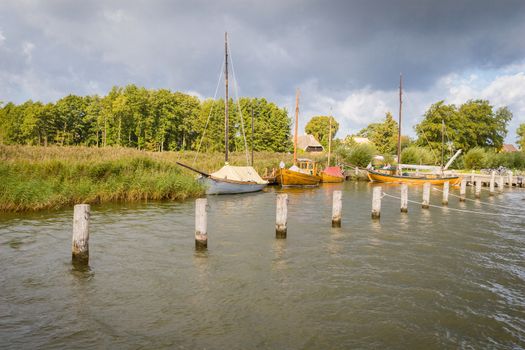 Old sailing boats in the port of Ahrenshoop in Darß on the Baltic Sea