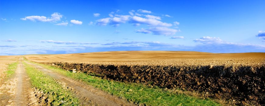 Filed conceptual image. Panorama of field in spring.