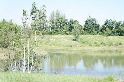 Summer landscape, pond and trees, green grass