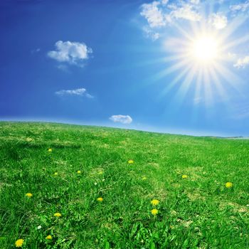 Rural landscape. Bright sun over the green field at summer.