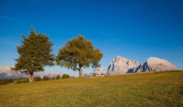 Seiser Alm and Rosengarten in South Tyrol