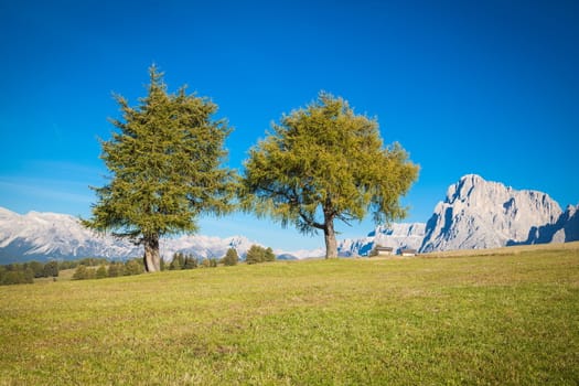 Seiser Alm and Rosengarten in South Tyrol