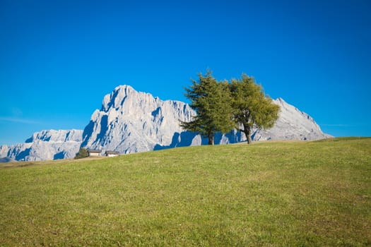 Seiser Alm and Rosengarten in South Tyrol