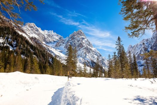 Winter landscape in South Tyrol with a lot of snow