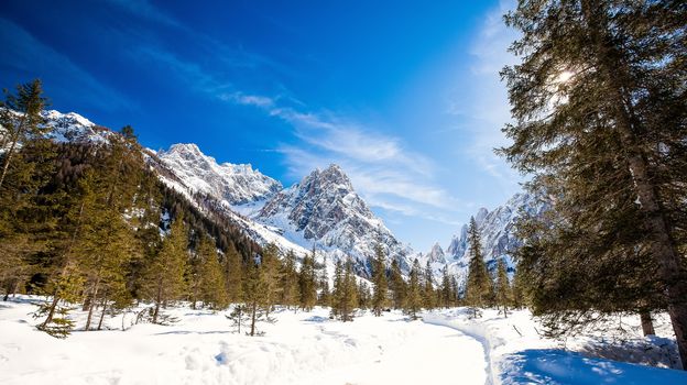 Winter landscape in South Tyrol with a lot of snow