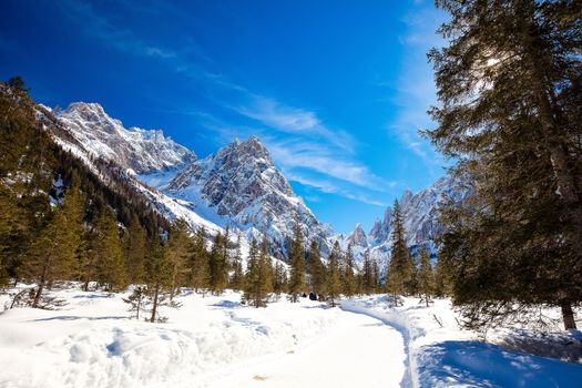 Winter landscape in South Tyrol with a lot of snow