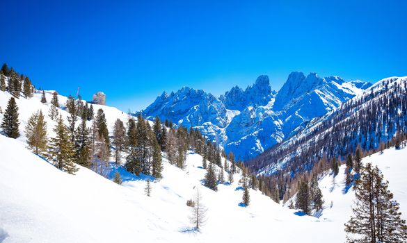 Winter landscape in South Tyrol with a lot of snow