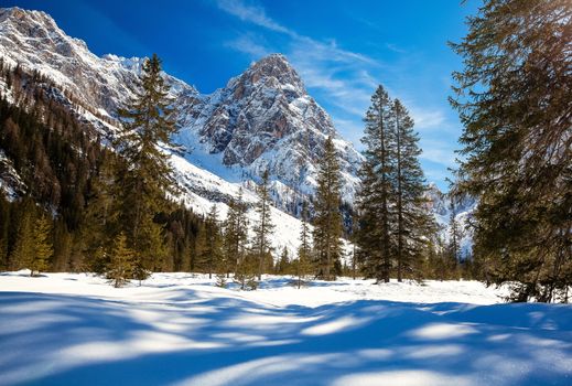 Winter landscape in South Tyrol with a lot of snow