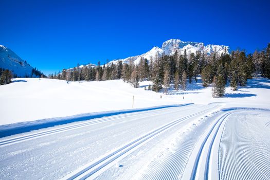 Winter landscape in South Tyrol with a lot of snow