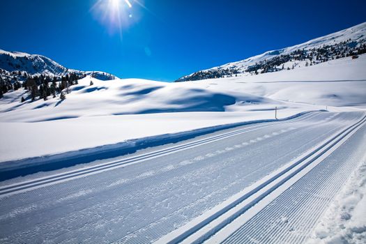 Winter landscape in South Tyrol with a lot of snow