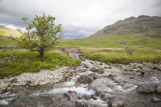 A typical landscape in Lake District, Cumbria