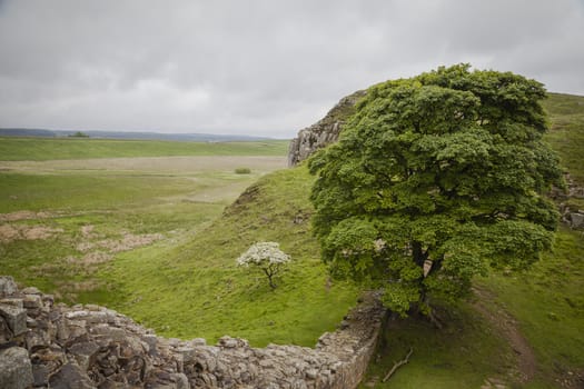 Green meadows and hills along Hadrian's Wall