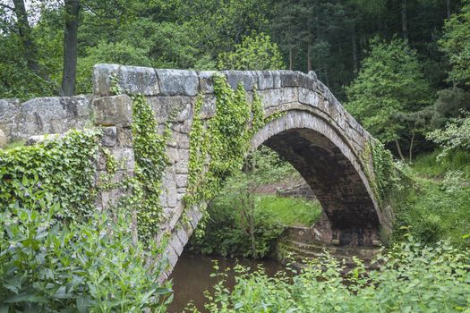 Typical landscape in North York Moors National Park