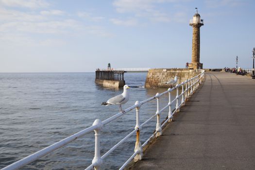 The harbour and lighthouses of Whitby