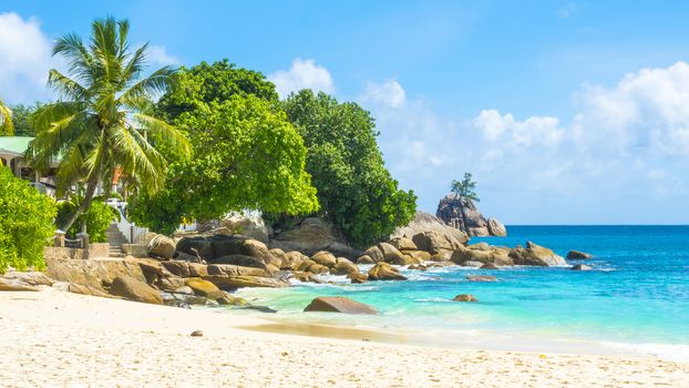 Palm tree on a beautiful tropical beach, Mahe, Seychelles