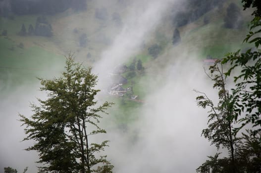Fog in the mountains in the Black Forest. Germany.