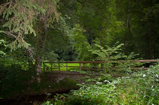 Bridge over the river in the forest. Black forest. Germany.