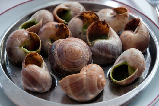 Escargot platter, delicious french delicatessen .