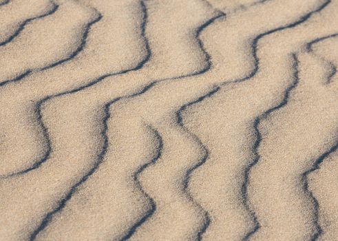 Wavy lines making a pattern on a sand dune