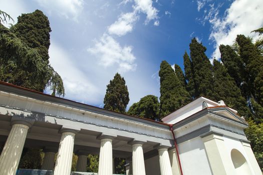 Palm trees and cypresses grow in the South and are pleasing to the eye beauty