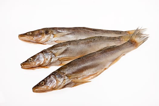 Fish on an isolated studio background