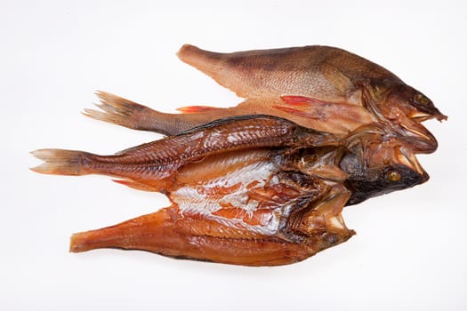 Fish on an isolated studio background