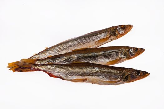 Fish on an isolated studio background