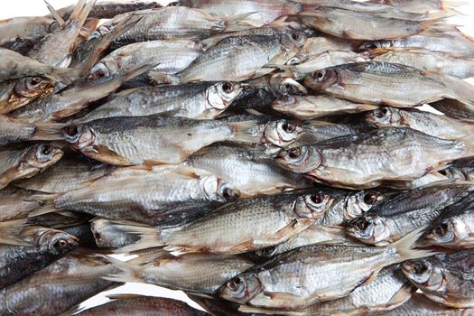 Fish on an isolated studio background