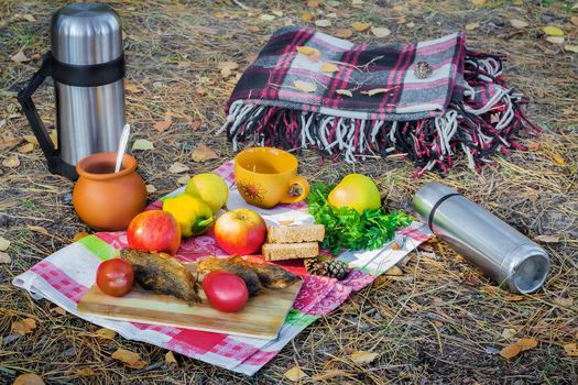 The autumn forest glade on the tablecloth prepared picnic of fruits, vegetables, fried fish, coffee in a thermos. Nearby is a warm blanket.