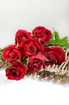 Still life with flowers on a studio background