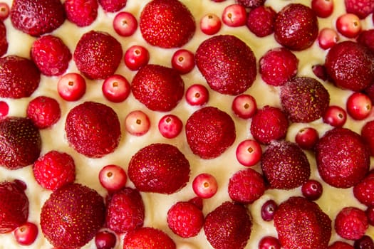 Cranberry and strawberry vanilla cake close up